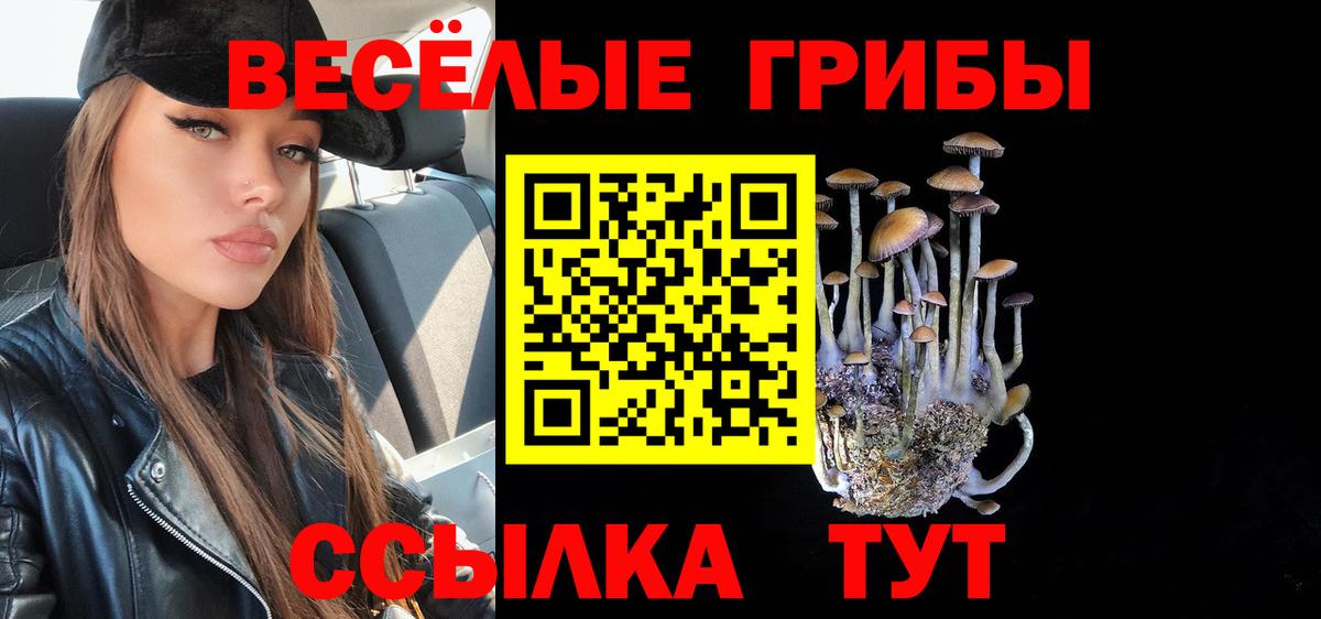Псилоцибиновые грибы Psilocybe Пушкино